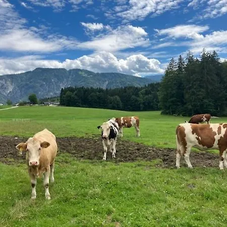 Farm stay Bauernhaus Untermoos